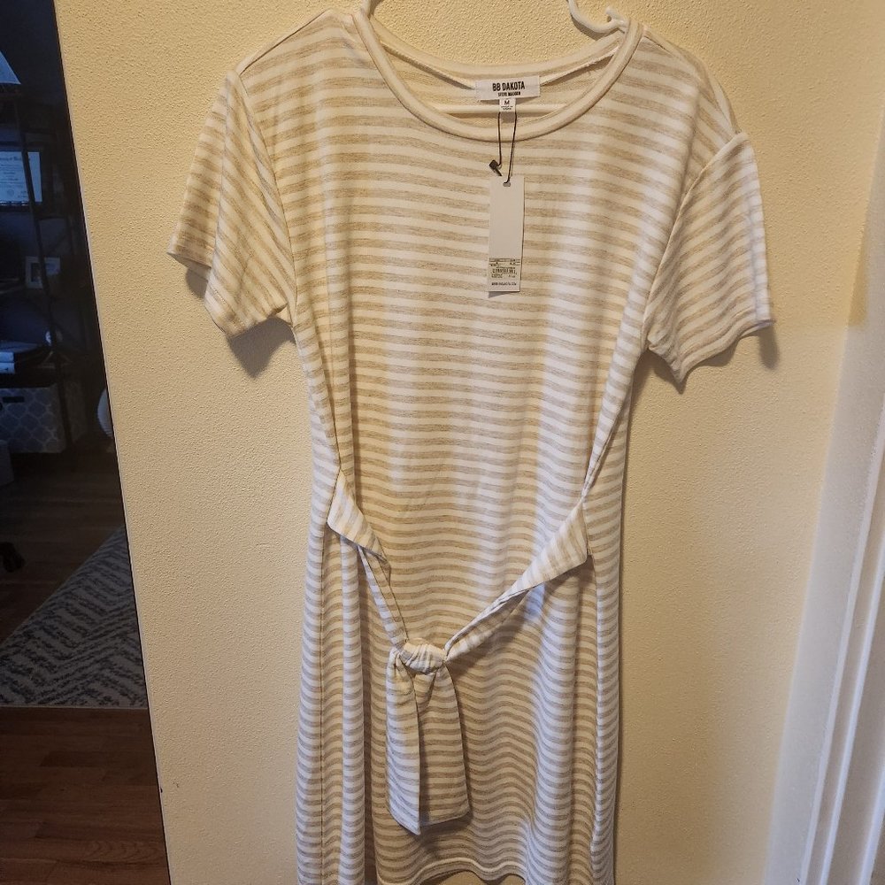 BB Dakota White Tshirt Dress (NWT)